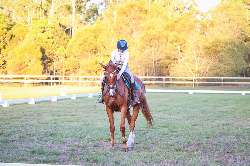 JPC Feb 2026 Dressage-7883.jpg