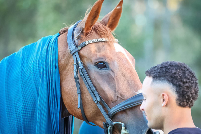 JPC Feb 2026 Dressage-7884.jpg