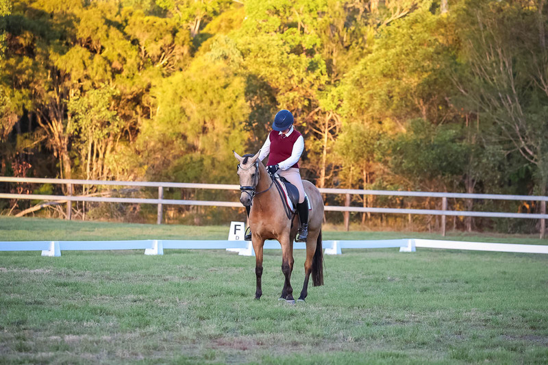 JPC Feb 2026 Dressage-7886.jpg