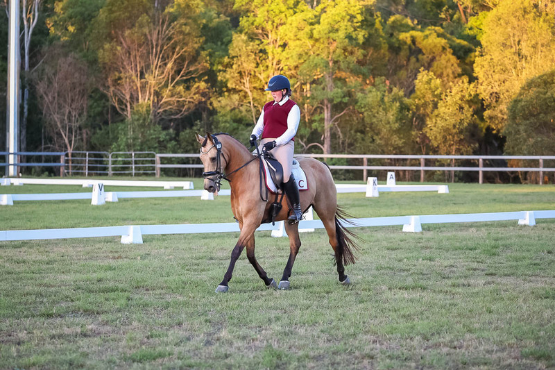 JPC Feb 2026 Dressage-7887.jpg