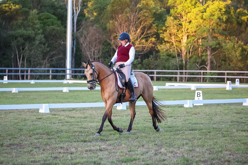 JPC Feb 2026 Dressage-7888.jpg