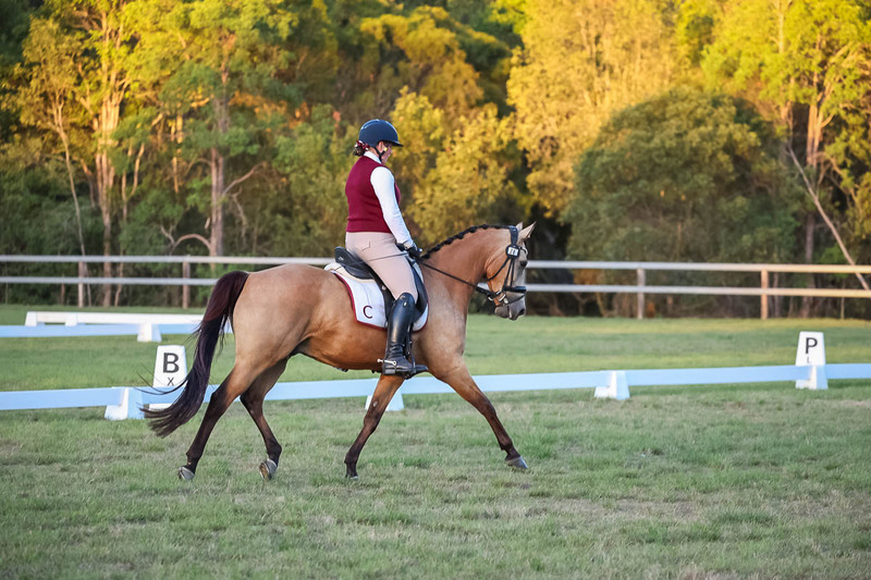 JPC Feb 2026 Dressage-7890.jpg