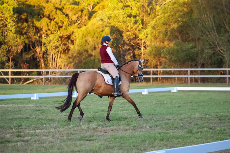 JPC Feb 2026 Dressage-7891.jpg