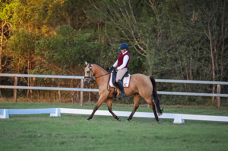 JPC Feb 2026 Dressage-7892.jpg