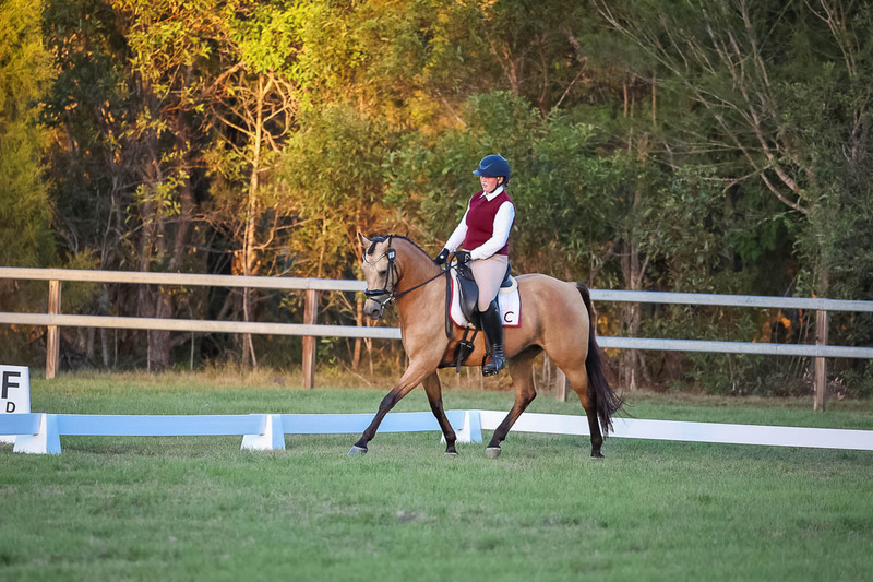 JPC Feb 2026 Dressage-7893.jpg