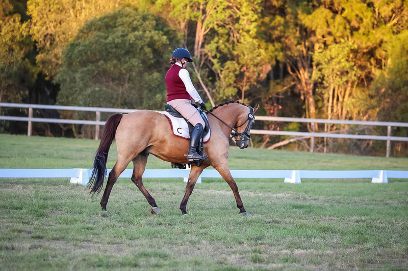 JPC Feb 2026 Dressage-7894.jpg