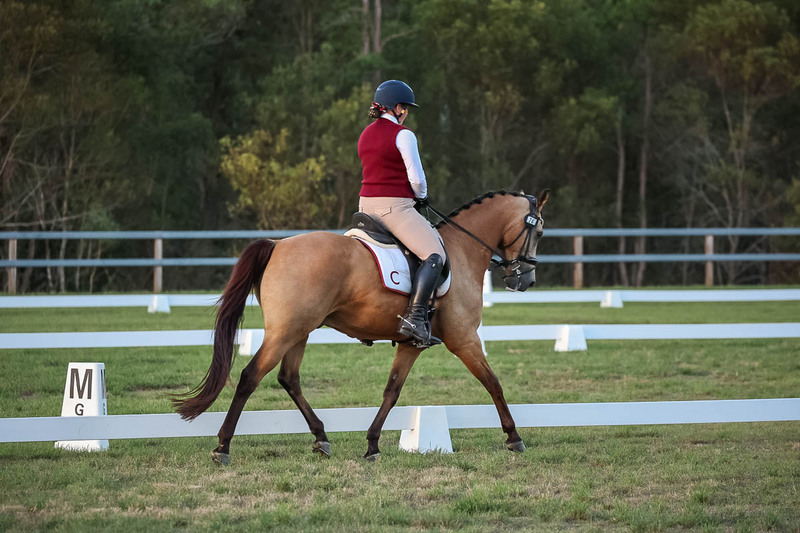 JPC Feb 2026 Dressage-7895.jpg