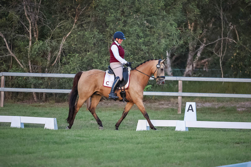 JPC Feb 2026 Dressage-7896.jpg