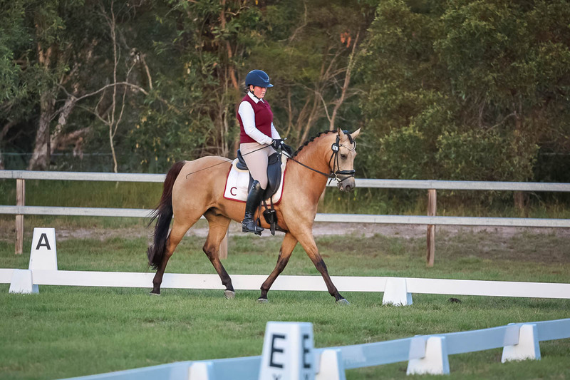 JPC Feb 2026 Dressage-7897.jpg