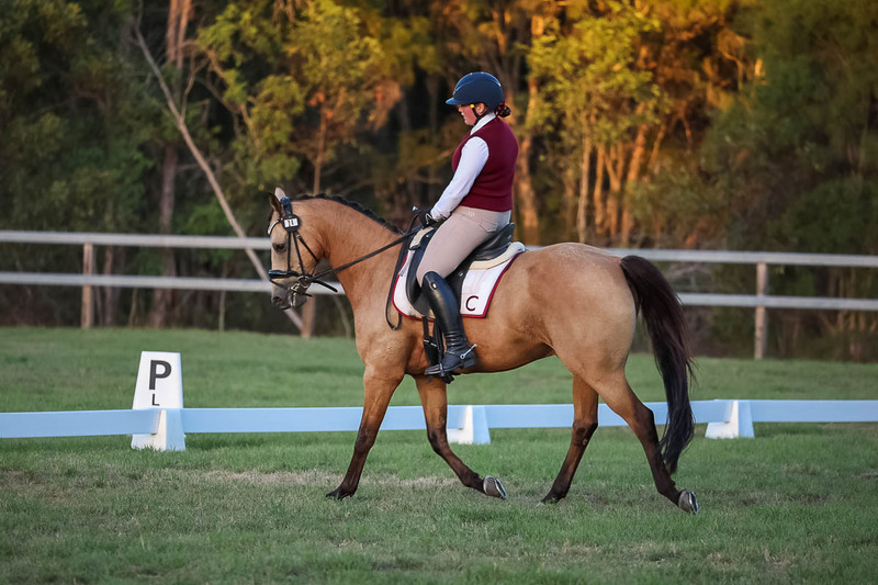 JPC Feb 2026 Dressage-7898.jpg
