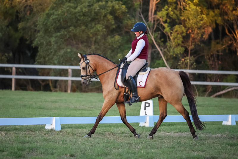 JPC Feb 2026 Dressage-7899.jpg
