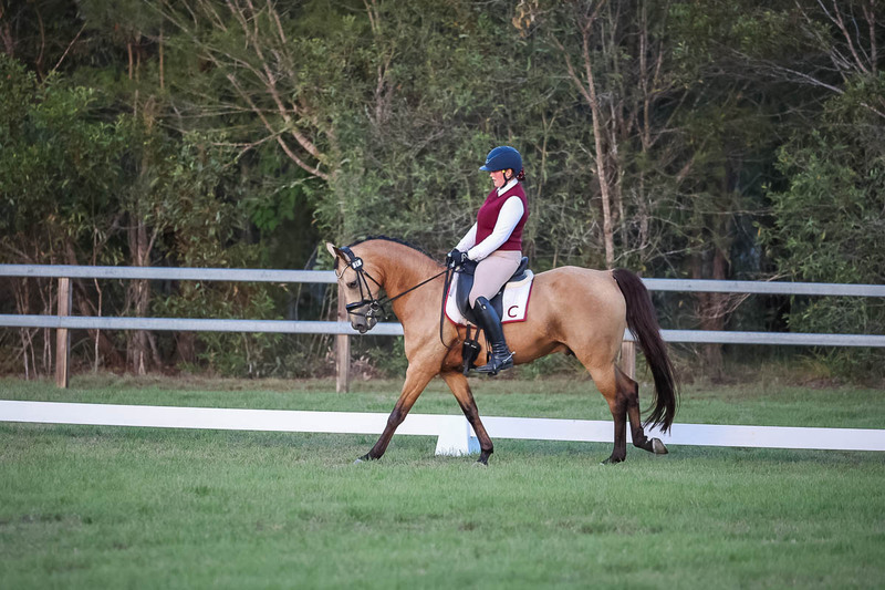 JPC Feb 2026 Dressage-7900.jpg