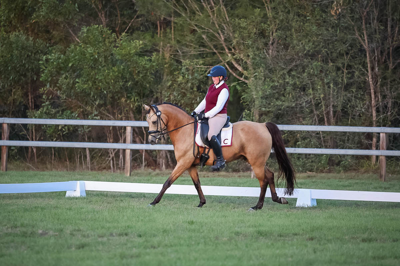 JPC Feb 2026 Dressage-7901.jpg