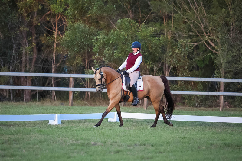 JPC Feb 2026 Dressage-7902.jpg