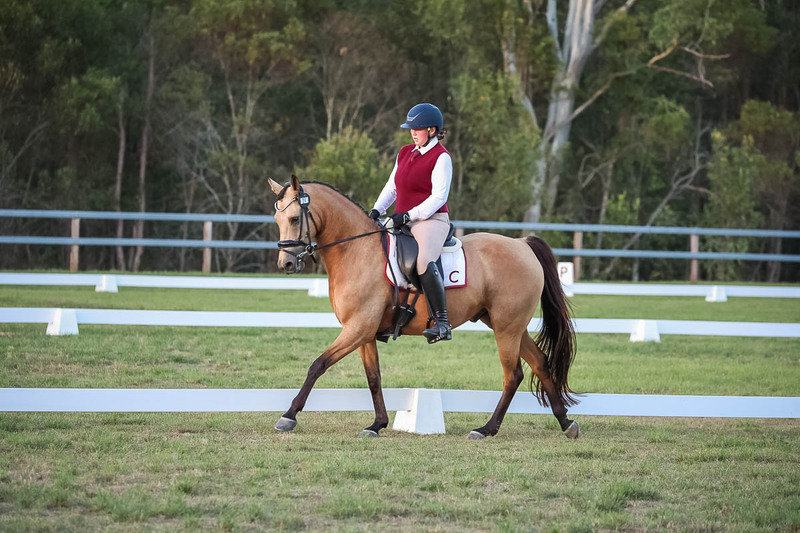 JPC Feb 2026 Dressage-7905.jpg