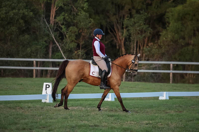 JPC Feb 2026 Dressage-7906.jpg