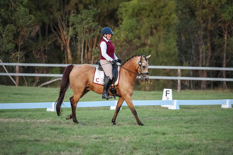JPC Feb 2026 Dressage-7907.jpg