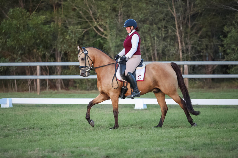 JPC Feb 2026 Dressage-7909.jpg