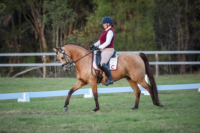 JPC Feb 2026 Dressage-7911.jpg