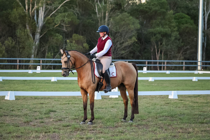 JPC Feb 2026 Dressage-7912.jpg