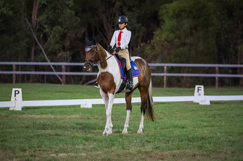 JPC Feb 2026 Dressage-7914.jpg