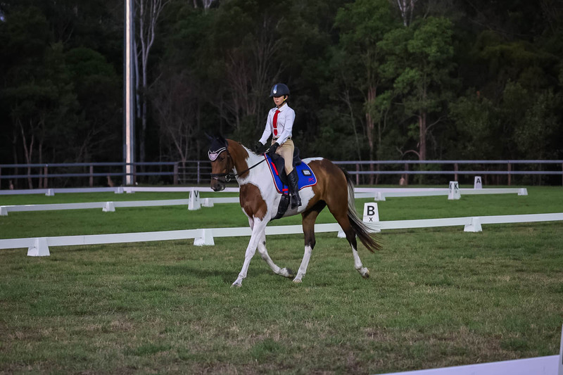 JPC Feb 2026 Dressage-7915.jpg