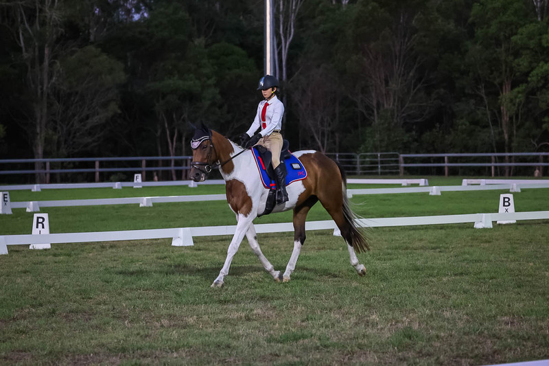 JPC Feb 2026 Dressage-7916.jpg