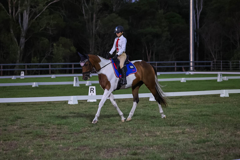 JPC Feb 2026 Dressage-7917.jpg