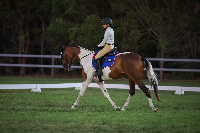 JPC Feb 2026 Dressage-7919.jpg