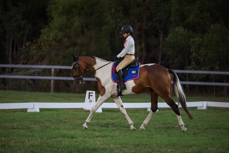 JPC Feb 2026 Dressage-7920.jpg