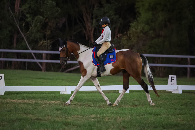 JPC Feb 2026 Dressage-7921.jpg