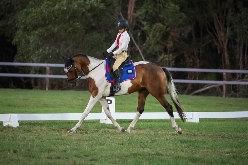 JPC Feb 2026 Dressage-7922.jpg