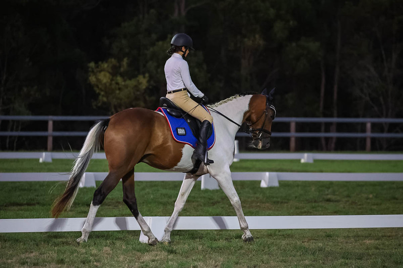 JPC Feb 2026 Dressage-7923.jpg