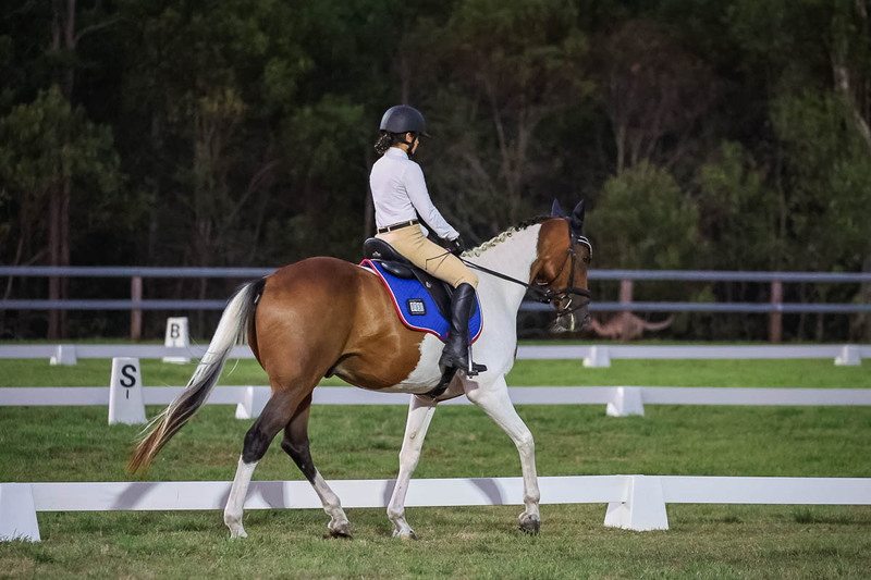 JPC Feb 2026 Dressage-7924.jpg