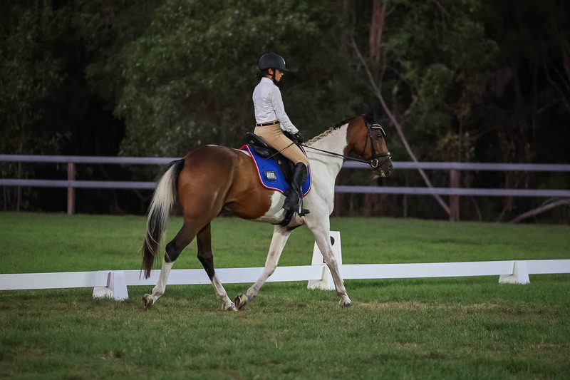 JPC Feb 2026 Dressage-7925.jpg