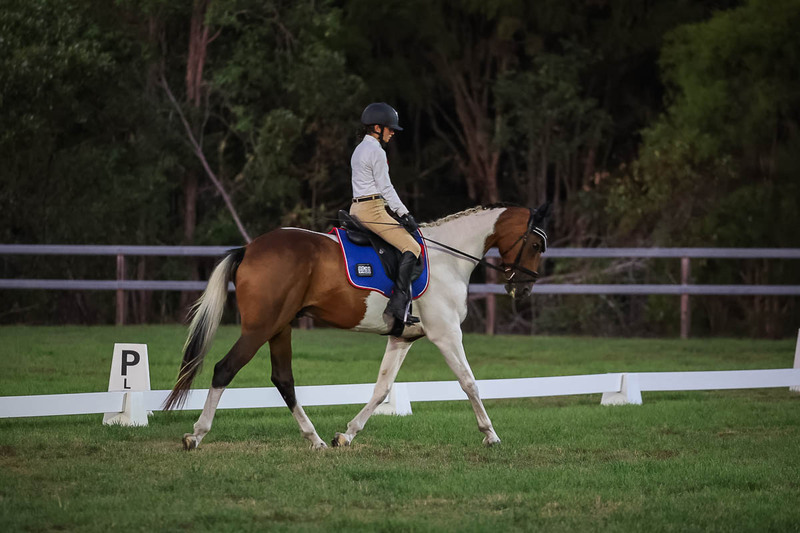JPC Feb 2026 Dressage-7926.jpg