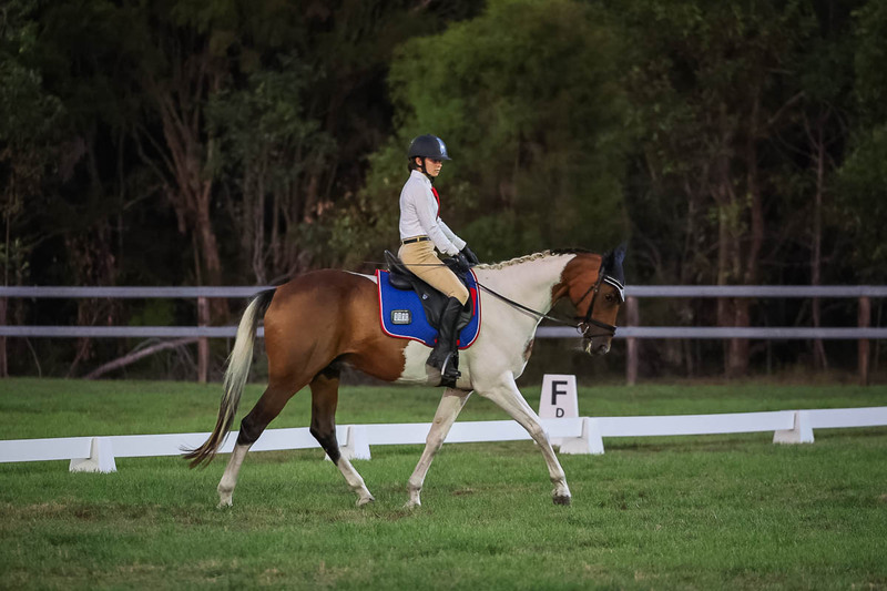 JPC Feb 2026 Dressage-7927.jpg
