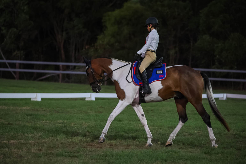 JPC Feb 2026 Dressage-7931.jpg