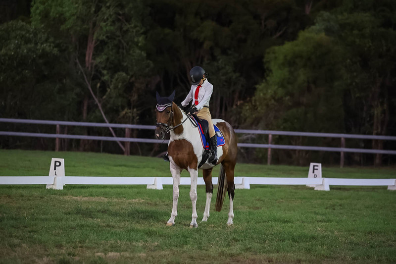 JPC Feb 2026 Dressage-7935.jpg