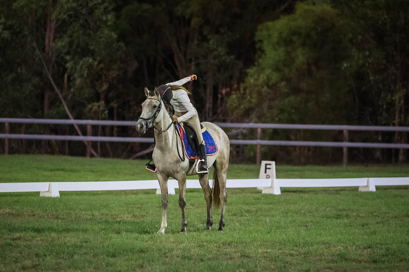 JPC Feb 2026 Dressage-7937.jpg
