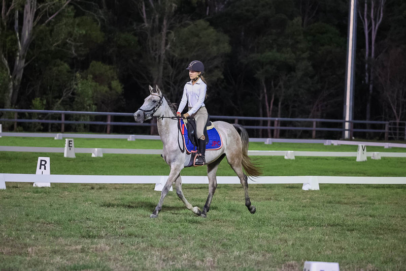 JPC Feb 2026 Dressage-7939.jpg