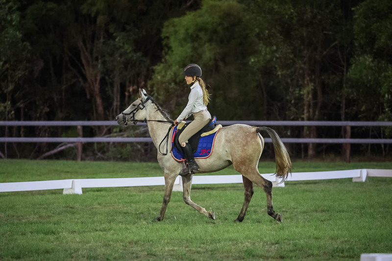 JPC Feb 2026 Dressage-7941.jpg