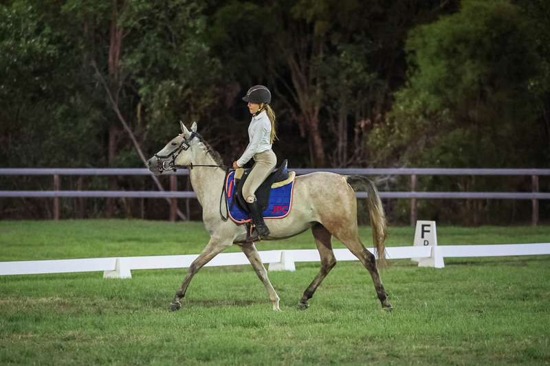 JPC Feb 2026 Dressage-7942.jpg