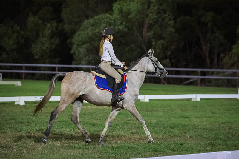 JPC Feb 2026 Dressage-7944.jpg