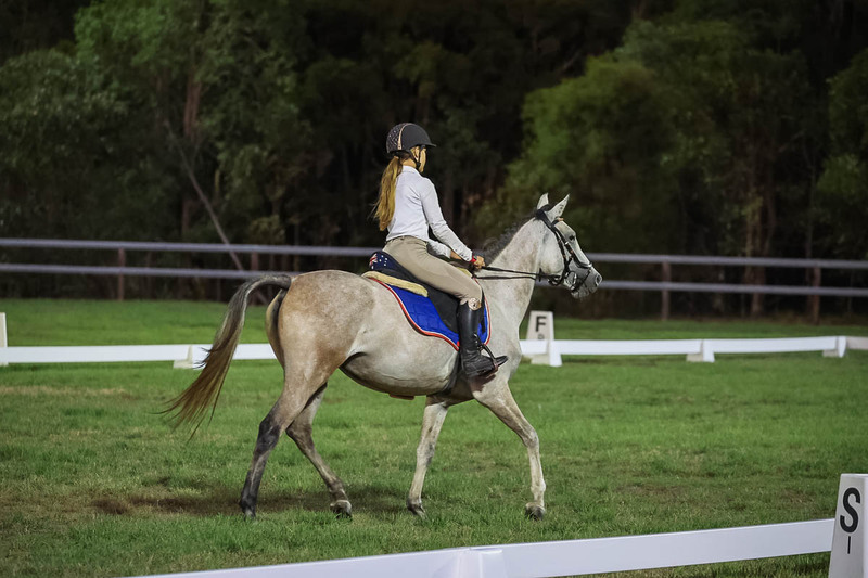 JPC Feb 2026 Dressage-7945.jpg