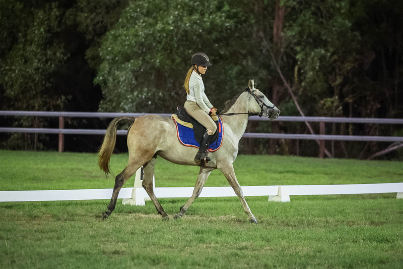 JPC Feb 2026 Dressage-7946.jpg