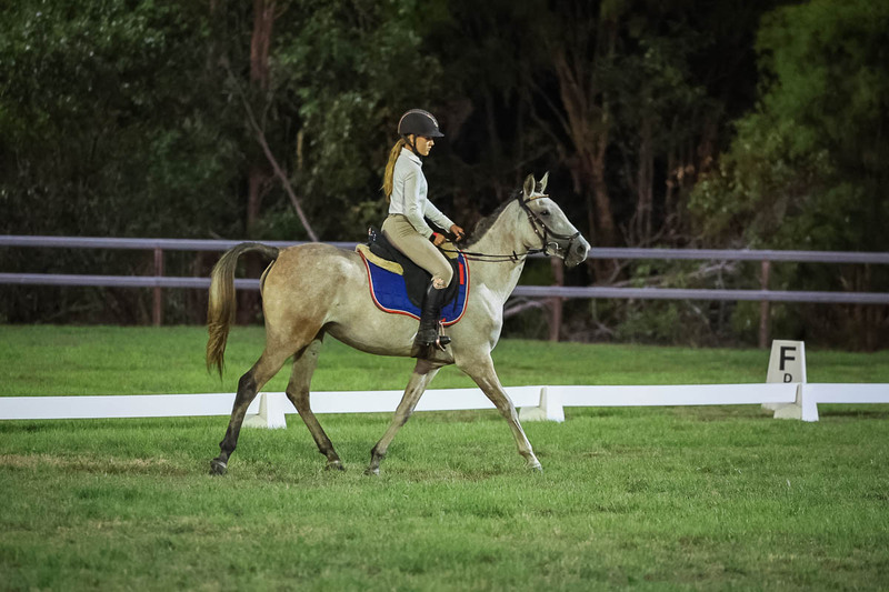 JPC Feb 2026 Dressage-7947.jpg