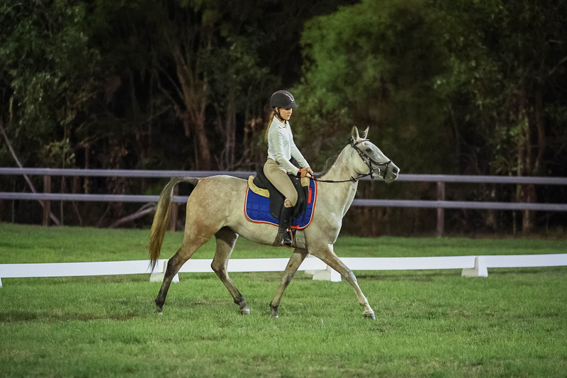 JPC Feb 2026 Dressage-7948.jpg