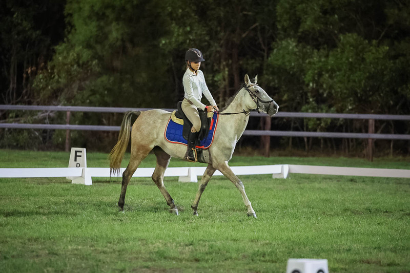 JPC Feb 2026 Dressage-7949.jpg