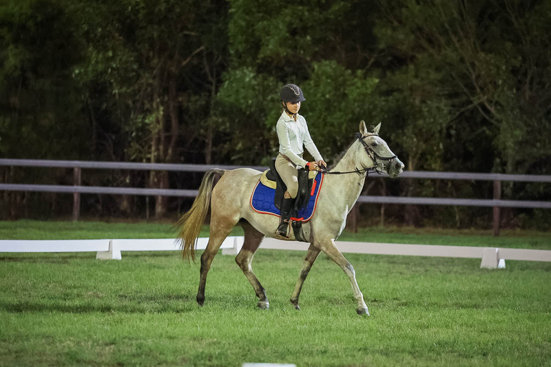 JPC Feb 2026 Dressage-7950.jpg